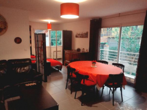 Grand appartement proche CHU